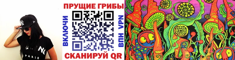 Псилоцибиновые грибы ЛСД  Новый Уренгой 