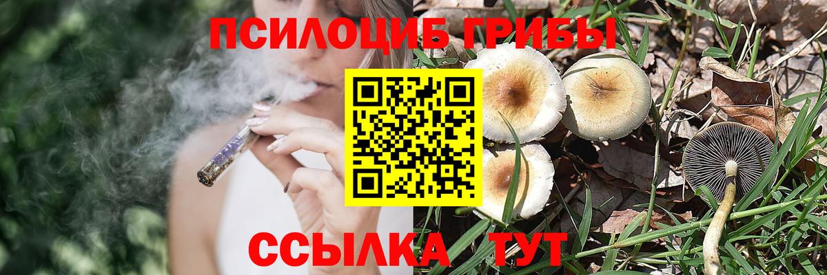 Новый Уренгой  Галлюциногенные грибы ЛСД  Вход с VPN 