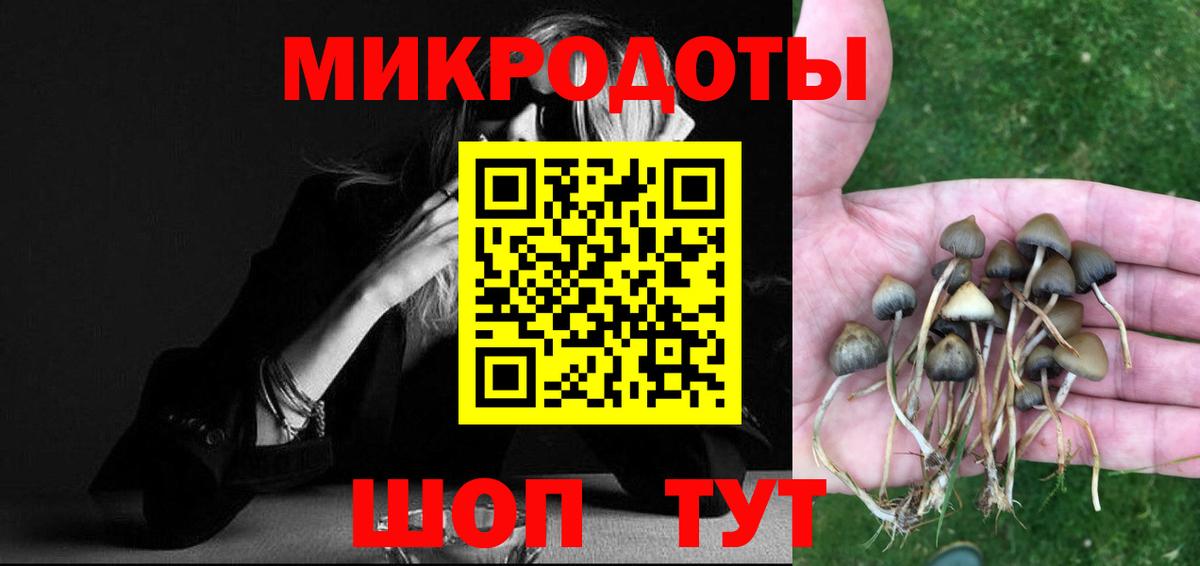 Галлюциногенные грибы ЛСД Новый Уренгой
